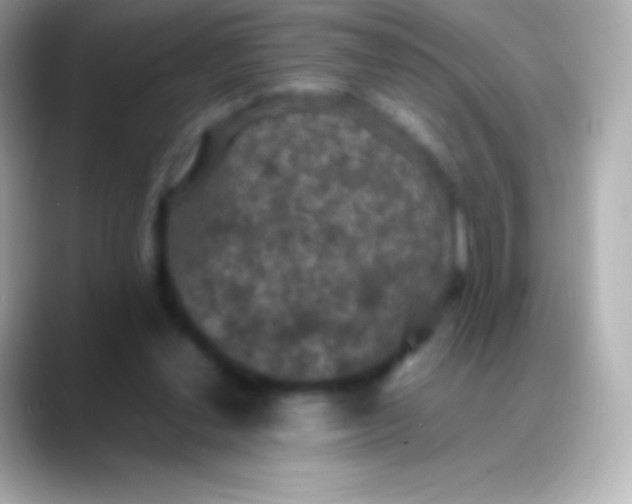 X0000088480252200706051405