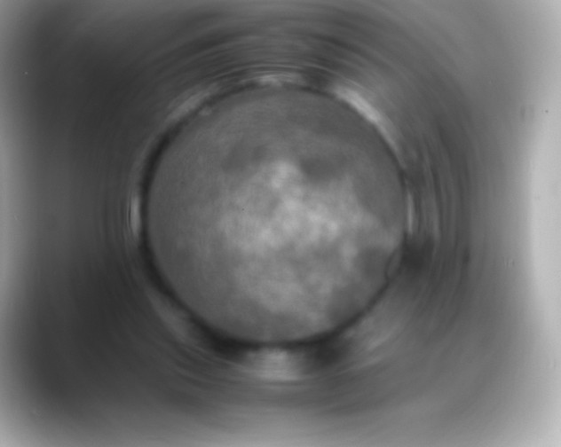 X0000088480253200706051405