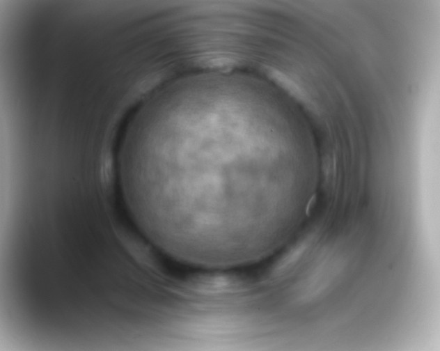 X0000088480254200706051405