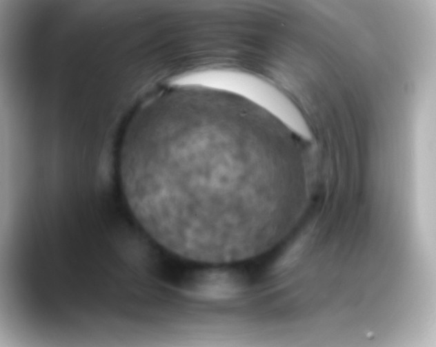 X0000088480255200706051405