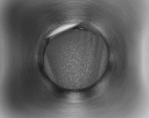 X0000088480256200706051405