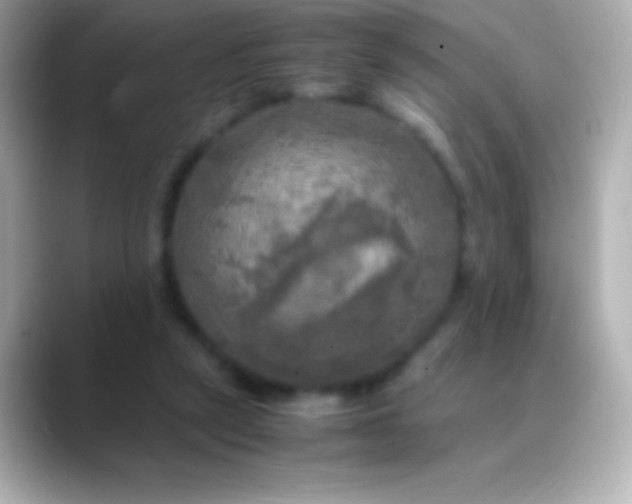 X0000088480257200706051405