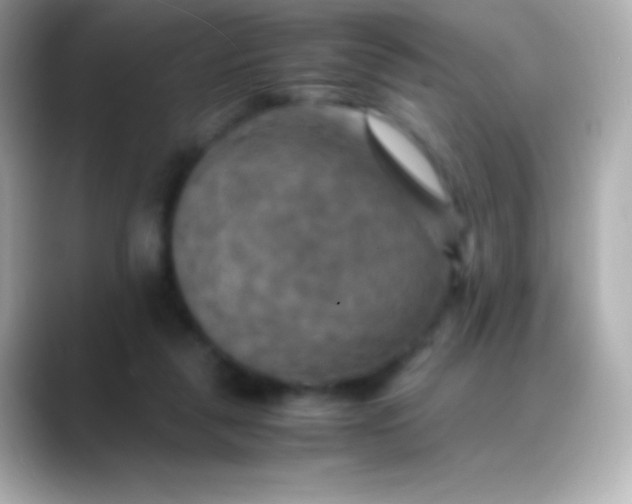 X0000088480259200706051405