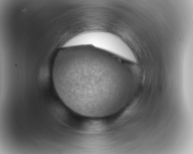 X0000088480260200706051405