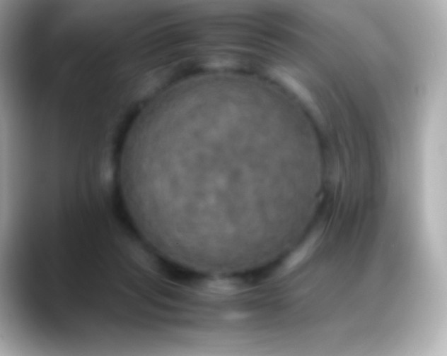 X0000088480261200706051405