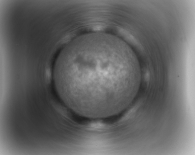 X0000088480262200706051405