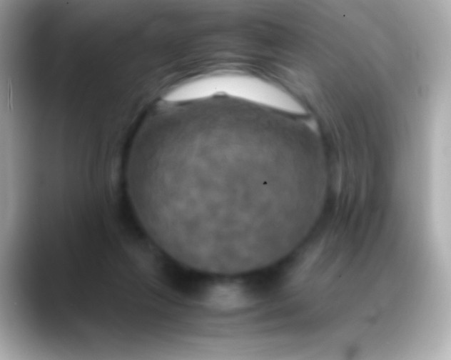 X0000088480263200706051405