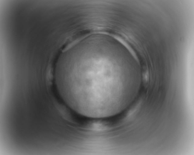 X0000088480264200706051405
