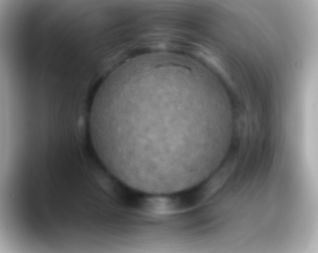 X0000088480265200706051405