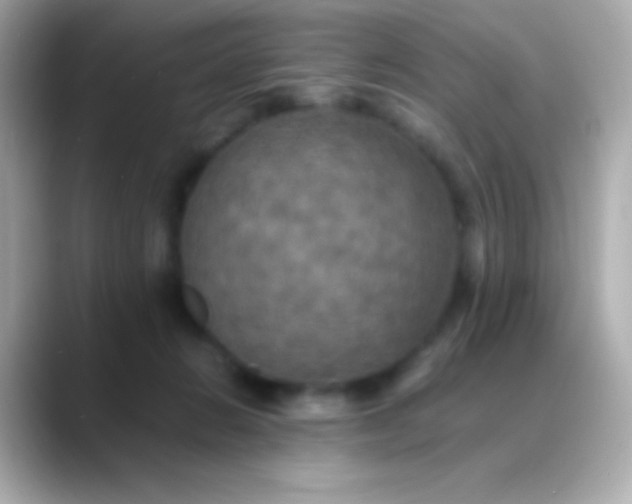 X0000088480270200706051406