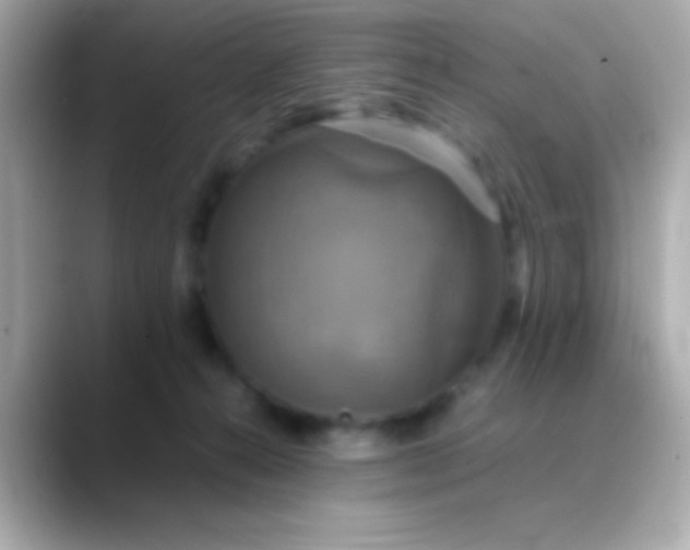 X0000088480272200706051406