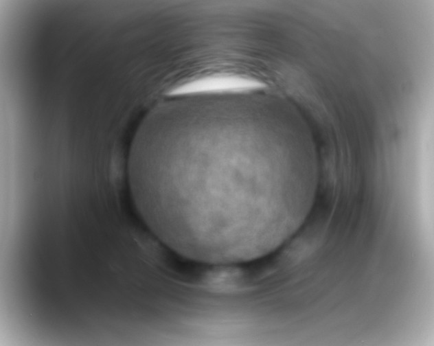 X0000088480274200706051406
