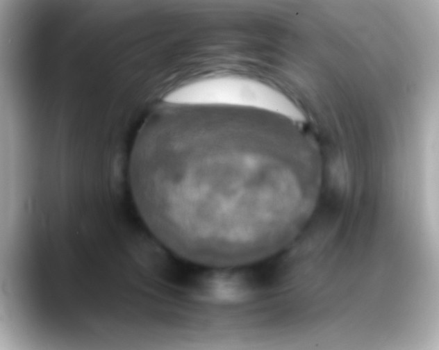 X0000088480275200706051406