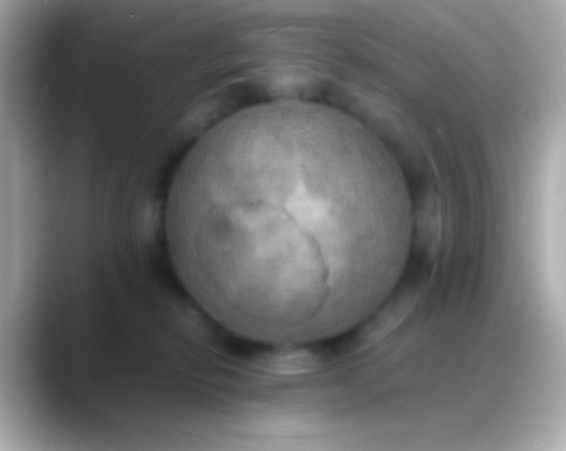 X0000088480278200706051406