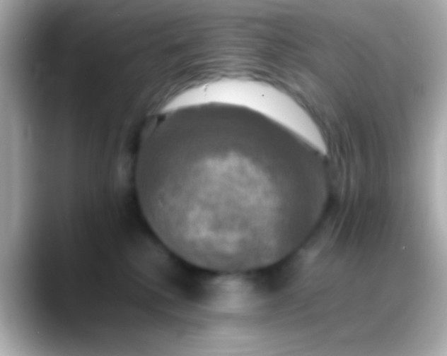 X0000088480280200706051406