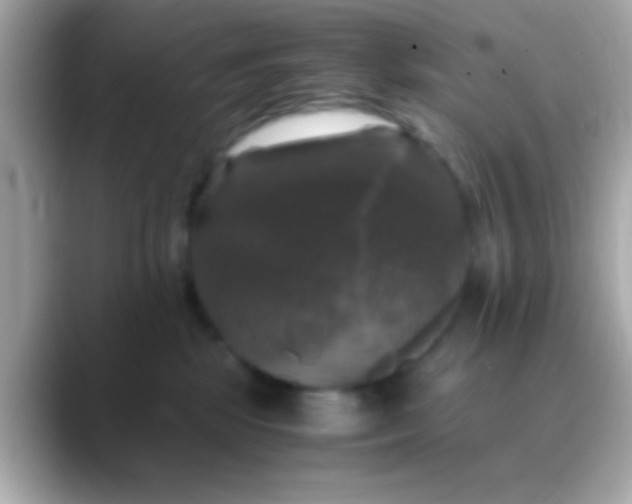 X0000088480281200706051406