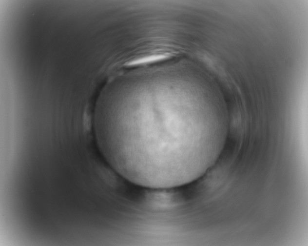 X0000088480282200706051406
