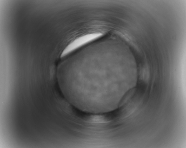 X0000088480283200706051406