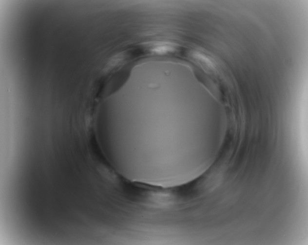 X0000088480284200706051406