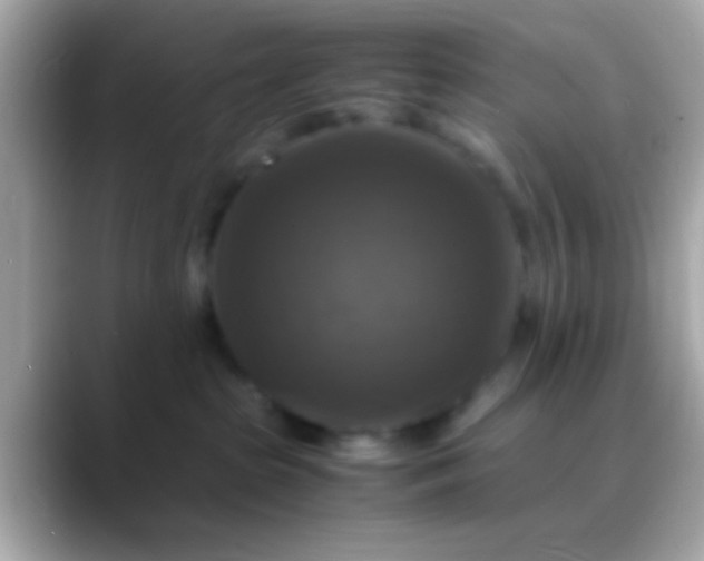 X0000088480285200706051406