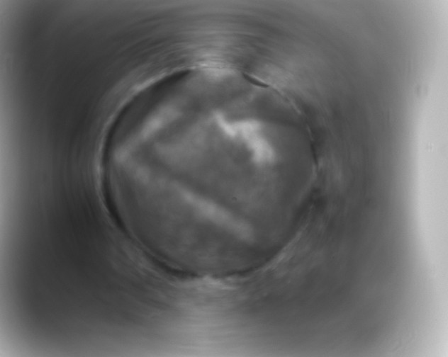 X0000088480290200706051405