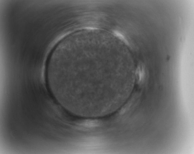 X0000088480292200706051405