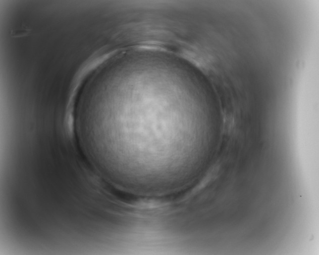 X0000088480294200706051405