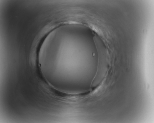 X0000088480295200706051405