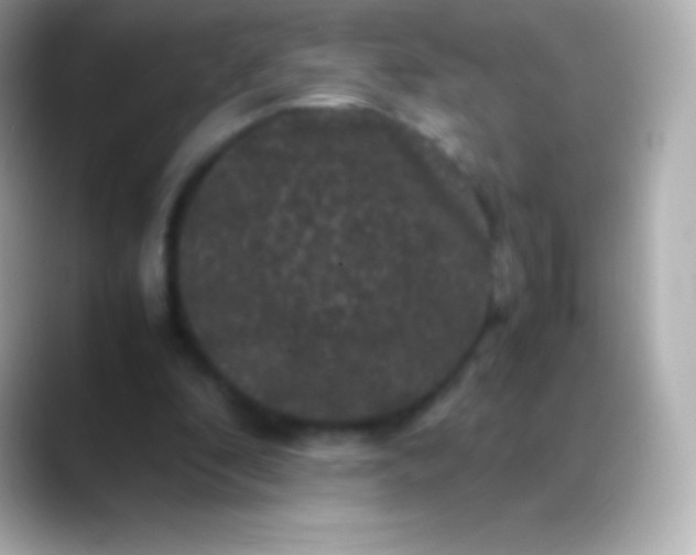 X0000088480296200706051405