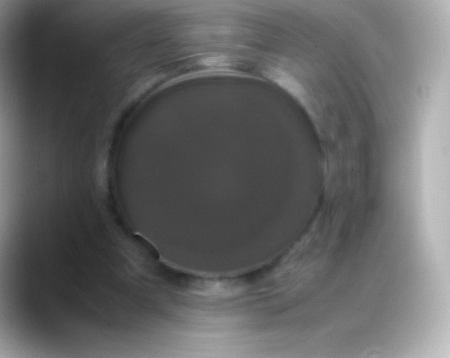 X0000088480297200706051405