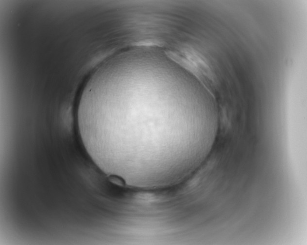 X0000088480298200706051405