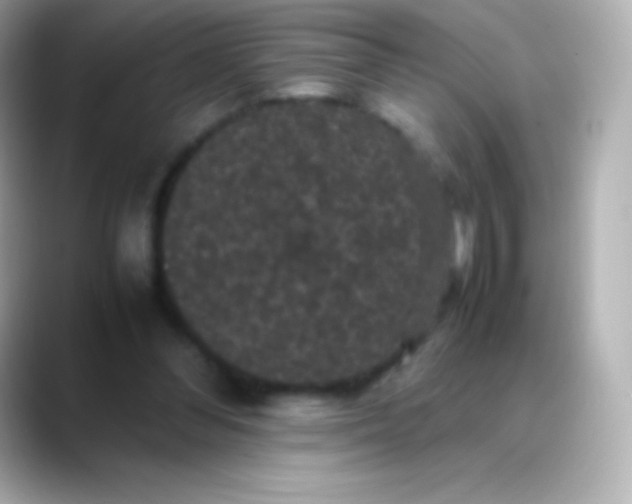 X0000088480300200706051405