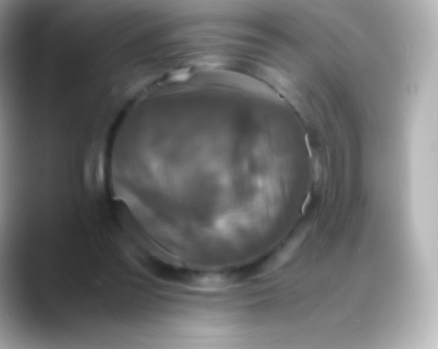 X0000088480301200706051405