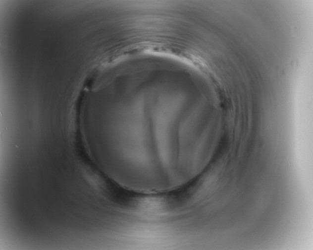 X0000088480303200706051405