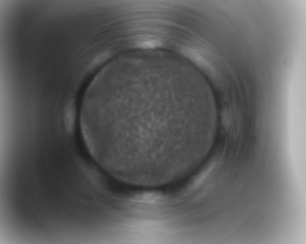 X0000088480304200706051405