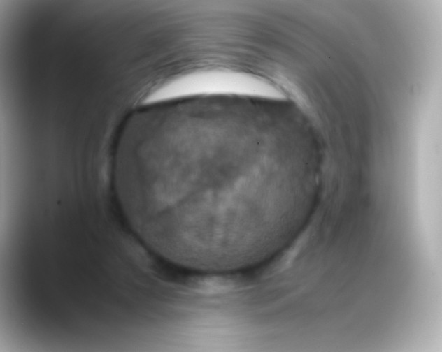 X0000088480305200706051405