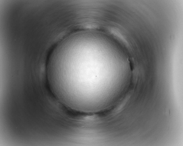 X0000088480306200706051405