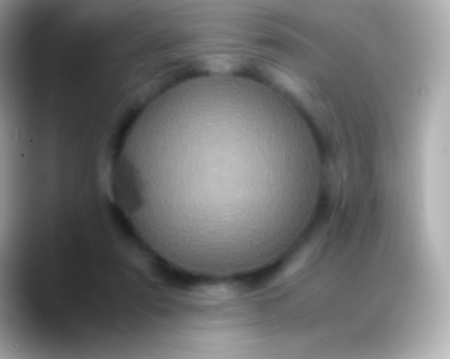 X0000088480307200706051405