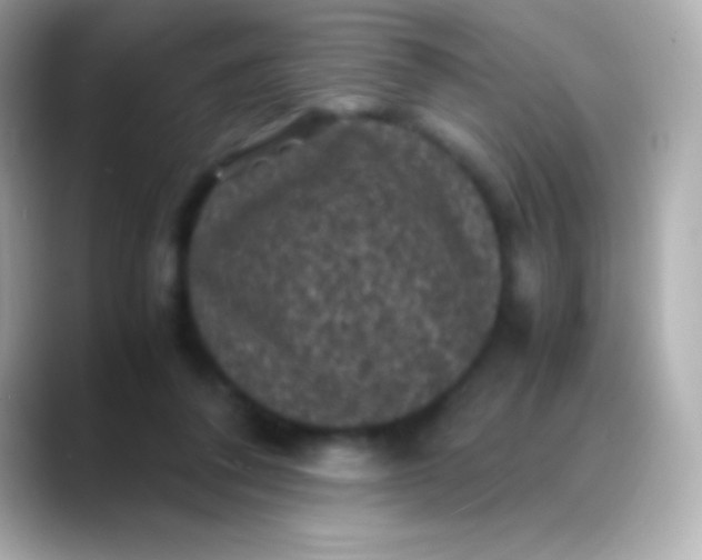 X0000088480308200706051405