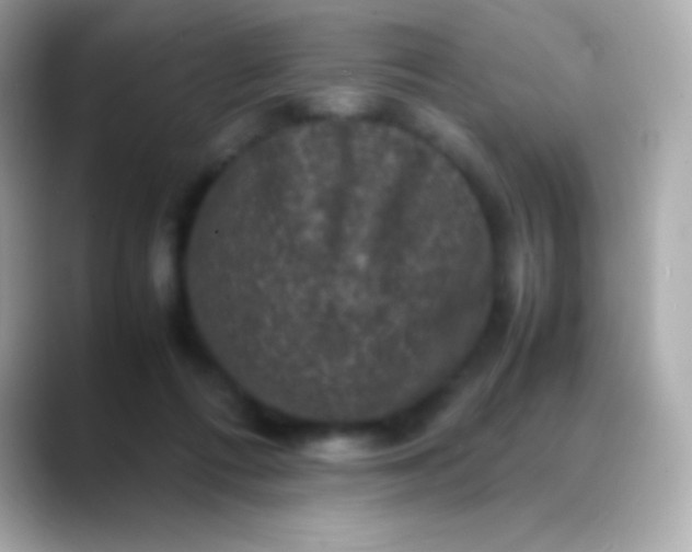 X0000088480312200706051405