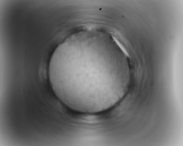 X0000088480313200706051405
