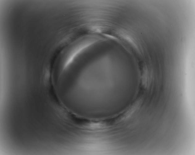 X0000088480314200706051405