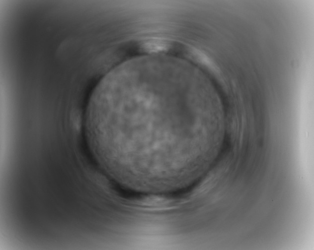 X0000088480315200706051405