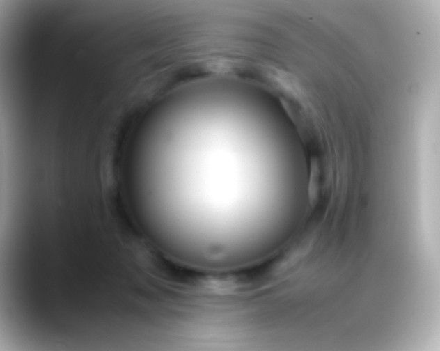 X0000088480317200706051405