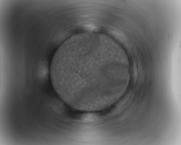 X0000088480320200706051405