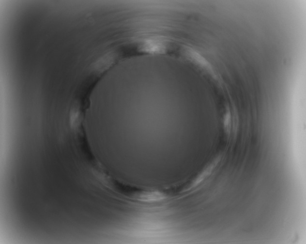 X0000088480322200706051405