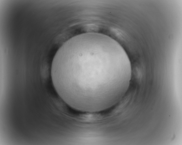 X0000088480323200706051405