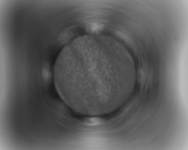 X0000088480324200706051405
