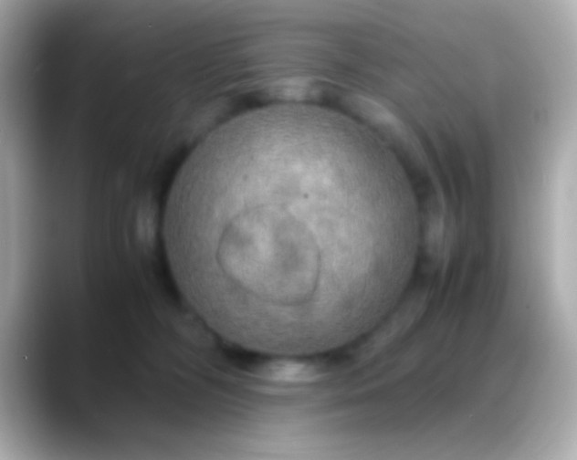 X0000088480326200706051405