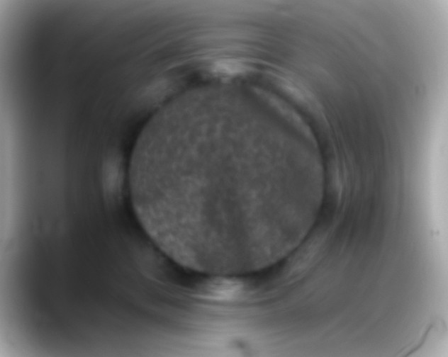 X0000088480328200706051405